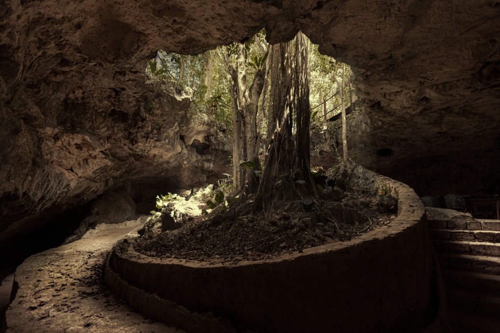 Cenotes del Messico: Dove la Luce Incontra l’Abisso