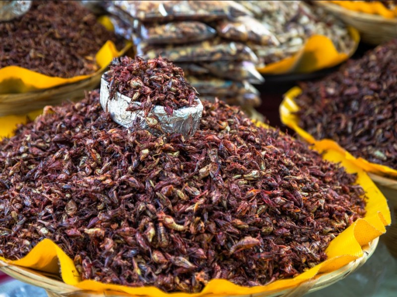 insolite abitudini alimentari in&nbsp;Messico