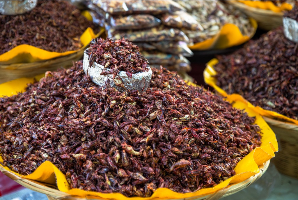 insolite abitudini alimentari in&nbsp;Messico